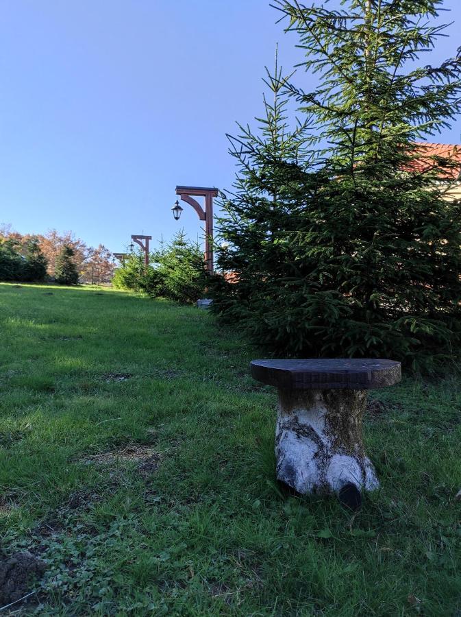 Vila Hajdi Planina Tara バイナ・バシュタ エクステリア 写真
